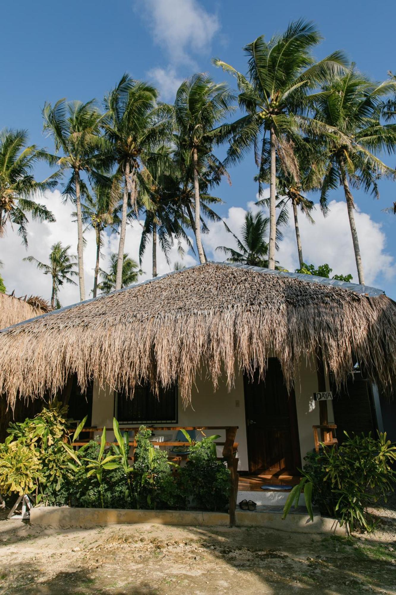 Ozen Freediving Hostel ゼネラル・ルナ エクステリア 写真